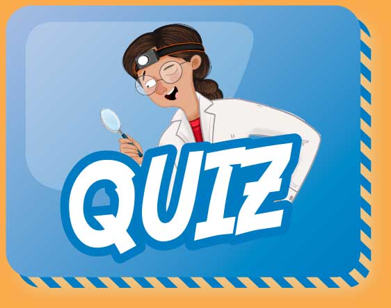 Quiz